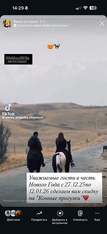 Туристические услуги: Конная прогулка - это мощнейшая эмоциональная встряска, которая — 10