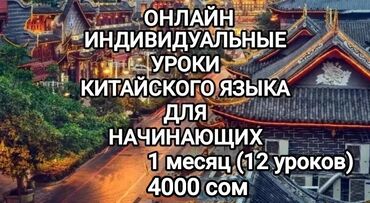 курсы китайского языка: Языковые курсы Китайский Для взрослых, Для детей