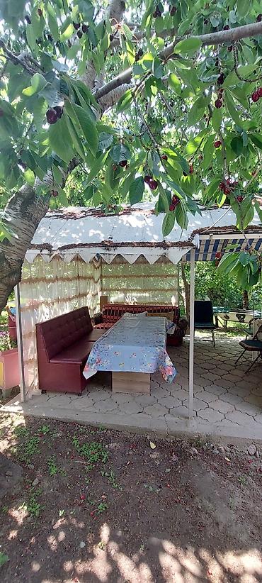Аренда коттеджей и домов на Иссык-Куле: Коттедж, Чолпон-Ата, 2 места — 11