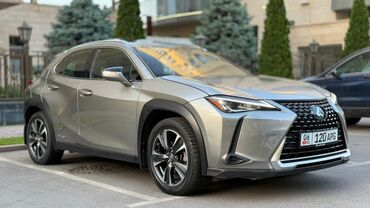 Lexus: Lexus : 2019 г., 2 л, Автомат, Гибрид, Хэтчбэк