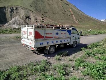 Легкий грузовой транспорт: Легкий грузовик, Hyundai, Стандарт — 9