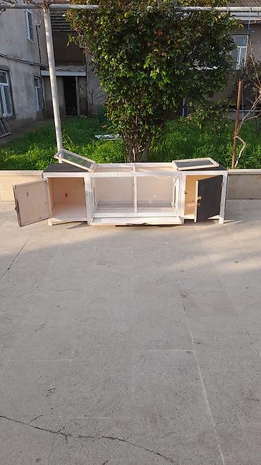 cucə yuvası: Toyuqlar cuceler ucun her olcude qefesler yigiram hazirda 2 eded — 1