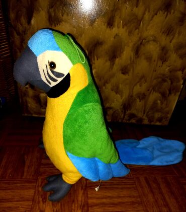 2870 oglasa | lalafo.rs: Veliki papagaj nov,jako lep sa velikim repom