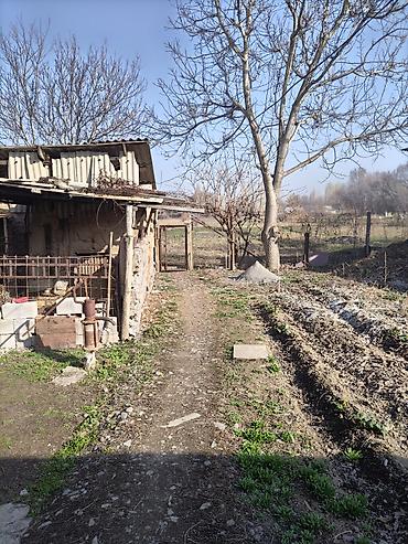 Продажа коттеджей и домов: Срочно продаю дом,рядом городом Кара-Балта.Село Вознесеновка улица — 11