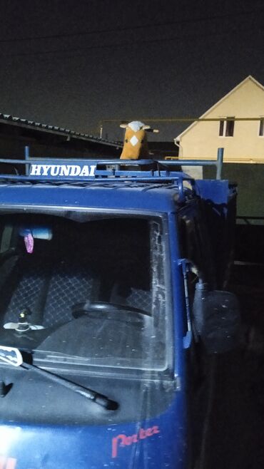 прадайу портер: Легкий грузовик, Hyundai, Стандарт, До 1 т