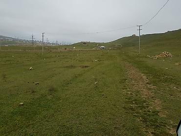 binə torpağ: 70 sot — 5