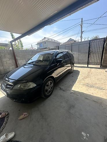 odissey: Honda Odyssey: 2003 г., 0.3 л, Автомат, Бензин, Минивэн — 4