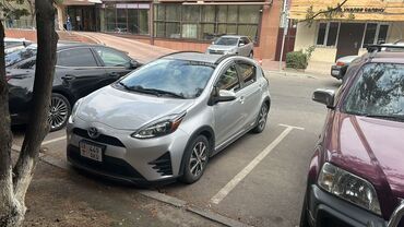 кофр на крышу автомобиля: Toyota Prius: 2018 г., 1.5 л, Автомат, Гибрид, Хэтчбэк