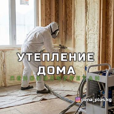 осы: Утепление домов напыляемым пенополиуретаном (ППУ) - Профессиональное — 1