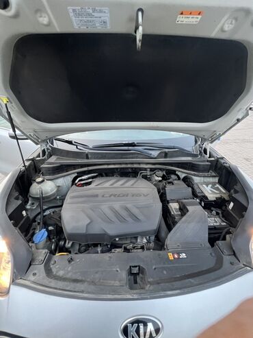 Kia: Kia Sportage: 2019 г., 2 л, Дизель, Кроссовер — 22