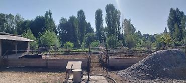 Продажа коттеджей и домов: Продаётся дом из 5ти комнат длинный коридор, раздельный сан узел — 4