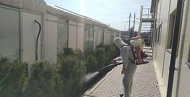 Другие услуги: Обрезка плодовых деревьев Зимняя-Весенняя обрезка сада Садовник, так — 12