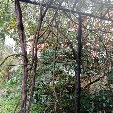 Həyət evləri və villaların satışı: 8 otaq, 1000 kv. m, Orta təmir — 11