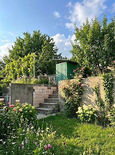 Продажа домов: Дача, 30 м², 3 комнаты — 3