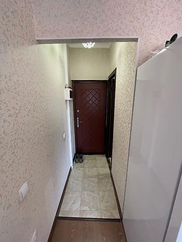 Долгосрочная аренда квартир: 1 комната — 5