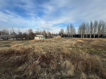 Продажа участков: 86 соток, Для бизнеса, Красная книга, Тех паспорт at lalafo.kg — 2 Продажа участков: 86 соток, Для бизнеса, Красная книга, Тех паспорт — 2