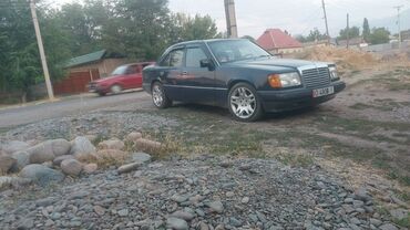 шины бишкек дордой: Продаю или меняю
