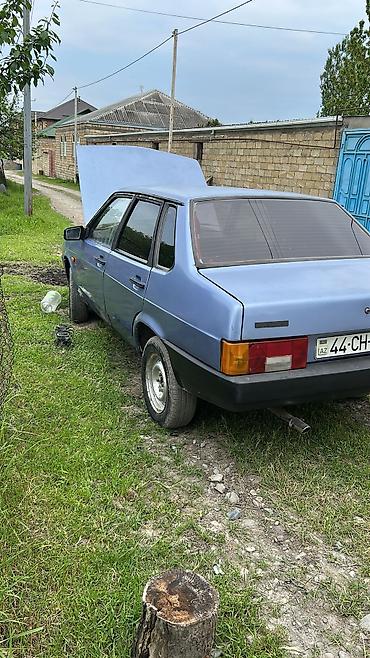 VAZ (LADA): VAZ 21099 sedan xadovoy çiçəyin çiçəyi mator karpka təzə yığılıb yağ — 6