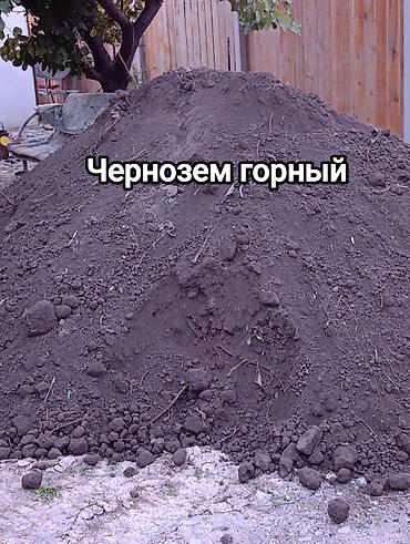 plaud note: В мешках, Зил — 1