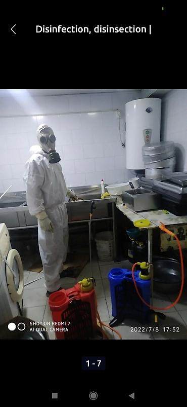 Дезинфекция, дезинсекция: Дезинфекция, дезинсекция, | Клопы, Блохи, Тараканы, | Транспорт, Офисы, Квартиры at lalafo.kg — 6 Дезинфекция, дезинсекция: Дезинфекция, дезинсекция, | Клопы, Блохи, Тараканы, | Транспорт, Офисы, Квартиры — 6