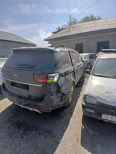 Kia: Kia Carnival: 2019 г., Минивэн — 2
