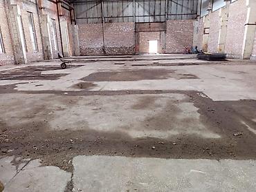 dur plaster: Больше 6 лет опыта — 2