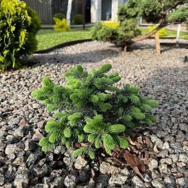 Дизайн, проектирование: Дизайн, Смета на строительство, Проектирование | Дома, Кафе, рестораны, Офисы — 5