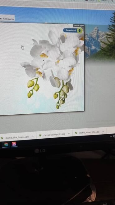 Натяжной потолок: Натяжной потолок Глянцевое, Матовое, 3D потолки Бесплатная консультация, Демонтаж, Бесплатный замер — 3