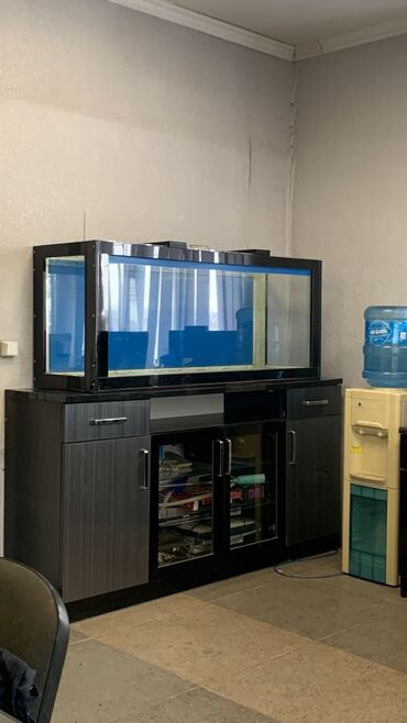 аквариум с рыбами: Продаю аквариум вместе с комодом. комод лак мдф турецкий(пвх автомат