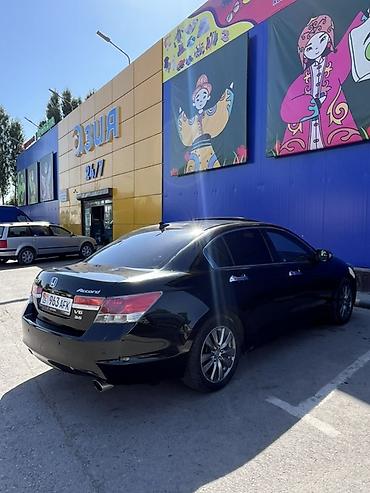 чехлы бу: Honda Accord: 2011 г., 3.5 л, Автомат, Бензин, Седан — 3