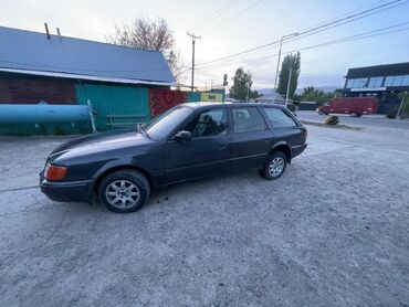 Audi: Audi 100: 1992 г., 1.8 л, Механика, Бензин, Минивэн