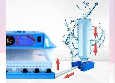 inkubator cucesi: 100 yumurta, Çin, Tam avtomat, Bütün növ quşlar üçün, Zəmanət ilə — 8