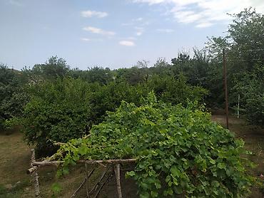 ucuz evler gence: Xaçmaz, 240 kv. m, 8 otaq, Hovuzsuz, Kombi, Qaz, İşıq — 5