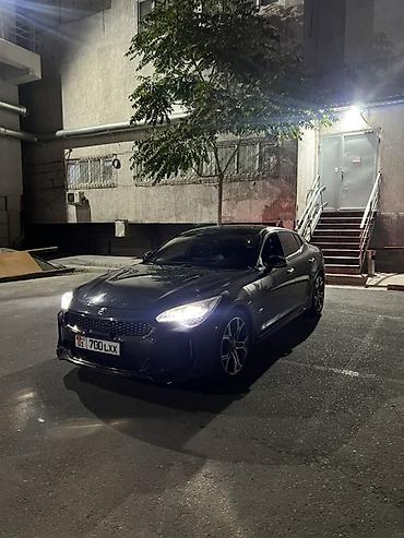киа стингер 2019: Kia Stinger: 2018 г., 2 л, Автомат, Бензин, Лифтбек — 5