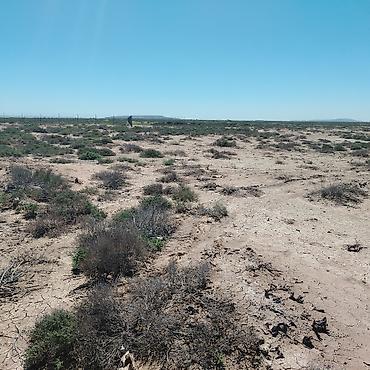 Torpaq sahələrinin satışı: 6 sot — 8