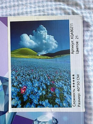 Картины: Алмазная мазайка 💎 Размер мазайки 40*50 В наборе: Сами алмазы 💎 — 5