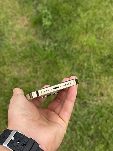 16 pro 256: 14pro Память 256gb АКБ 82% Без царапин и дефектов Все абсолютно — 4
