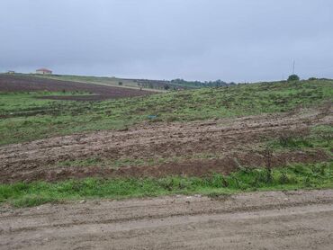 Torpaq sahələrinin satışı: 100 sot, Kənd təsərrüfatı, Mülkiyyətçi, Kupça (Çıxarış) — 9