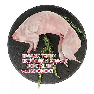 пицца печка: Продаю тушки кролика. от 1.5 до 2 кг. 700 сом. кг. под — 1
