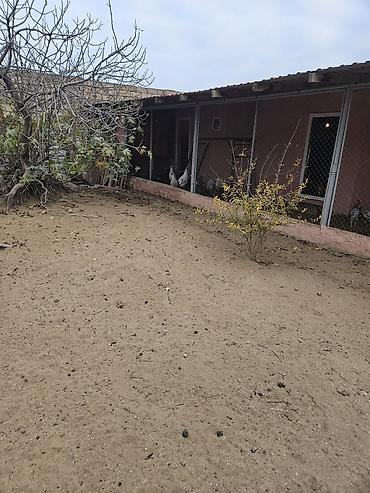 Həyət evləri və villaların satışı: 4 otaqlı, 85 kv. m — 9