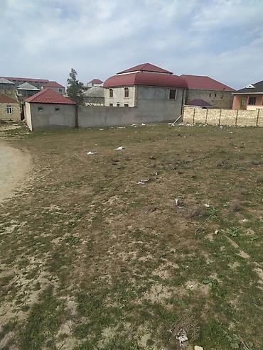 Torpaq: 10 sot, Tikinti, Mülkiyyətçi, Kupça (Çıxarış) — 4