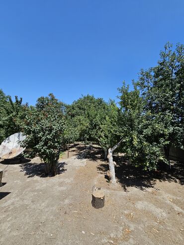 Продажа участков: 8 соток, Для строительства, Договор купли-продажи, Красная книга, Тех паспорт — 4