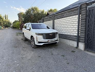 купить escalade: Cadillac Escalade: 2021 г., 6.2 л, Автомат, Бензин, Внедорожник — 5