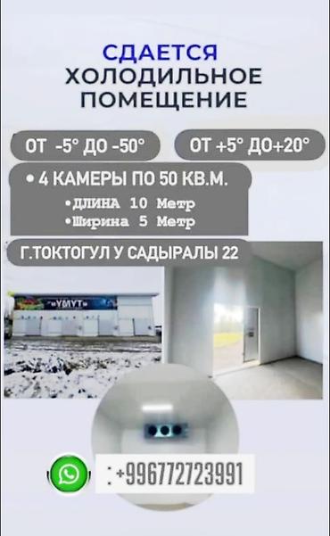 ул ленина: 200 м², Холодильный, морозильный — 2