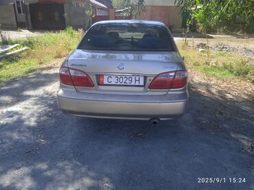 акумуляторы авто: Nissan Maximа автомат 2003год 3куб продаю или меняю на дизель автомат