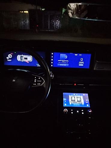 crown 2020: BYD : 2022 г., 5.5 л, Вариатор, Электромобиль, Кроссовер — 9