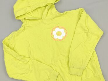 sukienka dla 15 latki: Sweatshirt, Destination, 14 years, 158-164 cm, condition - Very good
