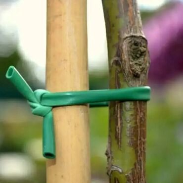 Bağ və bostan üçün digər məhsullar: ✅ Aqrotel, ✅ Kembrik ✅ Rezin İp İstifadə: Ağac Tingləri, Meyvə — 5