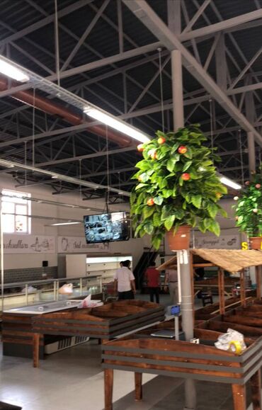 Mağazalar: Sabunçu rayonu Bakixanov qəsəbəsində,sahəsi 650 kv/m olan, obyekt — 10