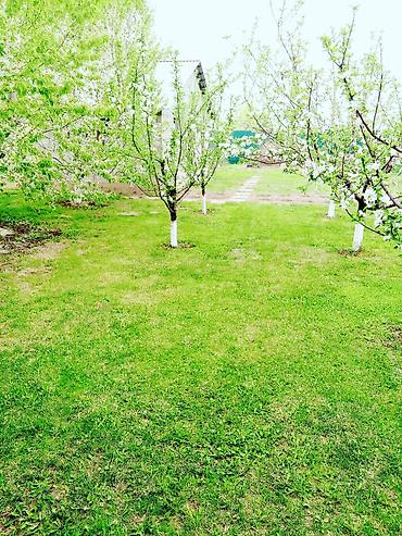 Продажа коттеджей и домов: Дом совхоз ала тоо с ремонтом,кондиционер,отопление комбинированный,3 — 4